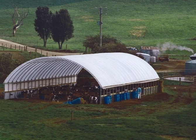 Calf Weaning Shelter