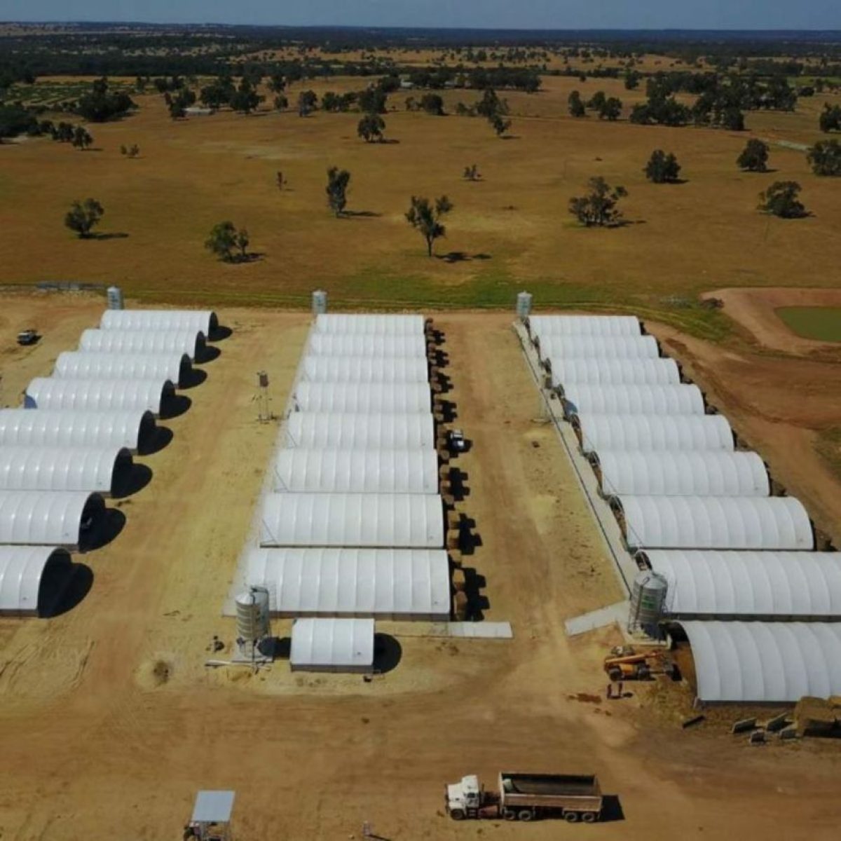 aerial view of rows of Container Domes on a farm